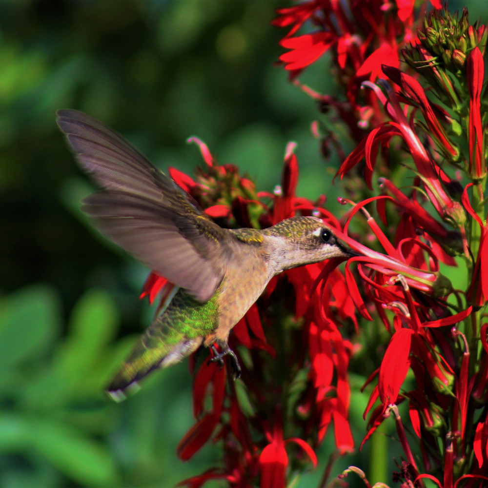 Meet your Posher, Paul
